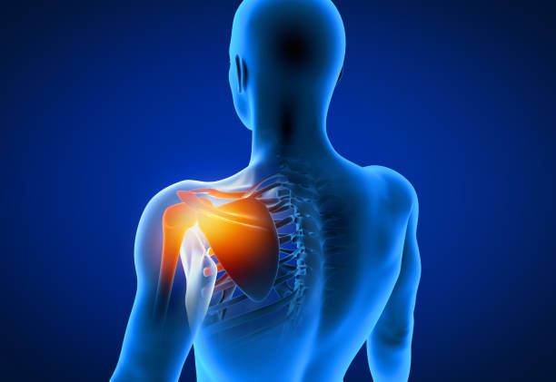 istock 3d rendered illustration of a painful shoulder 1186735779