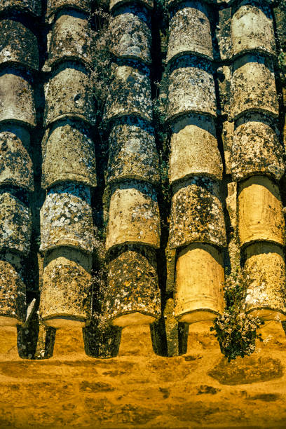 istock Old Spanish roof tiles 1186752063