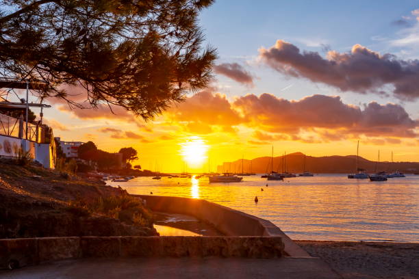 tramonto sulla spiaggia di santa ponsa, maiorca, spagna - pine sunset night sunlight foto e immagini stock