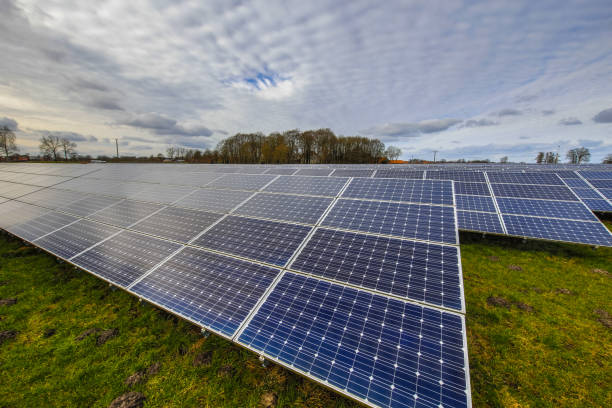 istock Field of solar panels in meadow 1186757597