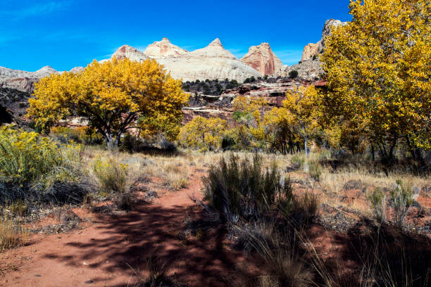 istock Capitol Reef National Park 1186758352