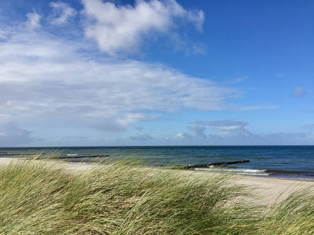 istock Baltic Sea beach in autumn 1186758426