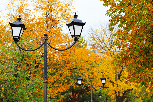 Street lamp in the autumn park. Black lamp post close up on autumn trees background. Autumn park. Street light landscape.