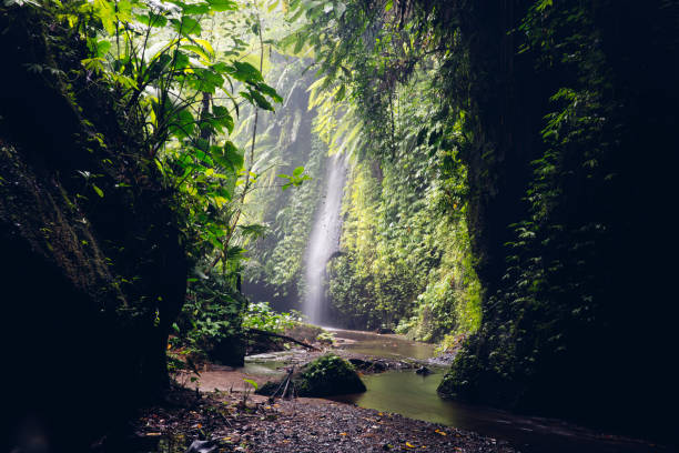 View at Tukad Cepung waterfall at Bali, Indonesia