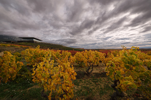 Baigorri winery in Samaniego, Rioja Alavesa, Spain