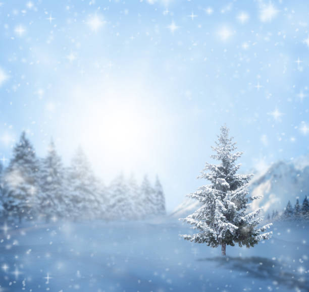 istock Winter Christmas landscape. Blue pine tree branches under winter snowfall, winter forest, space for text. 1186768415