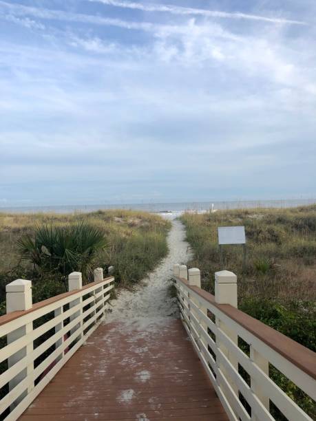 istock Walk to the Beach 1186769186