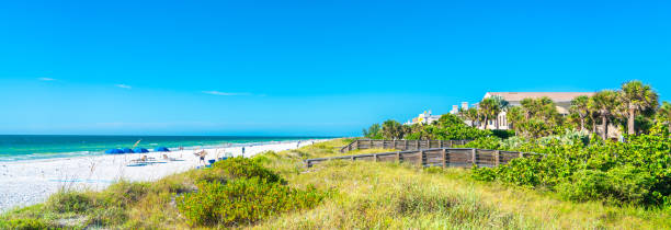 istock Indian rocks beach with green grass in Florida, USA 1186769221