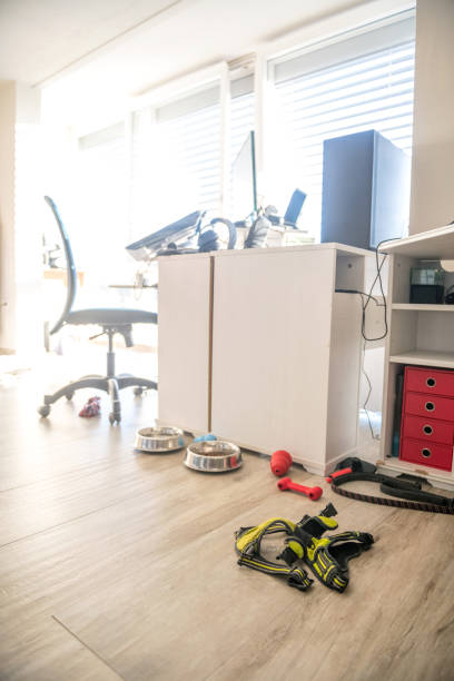 istock Dog's Corner at Home with Things a Dog Needs, No Dog Visible 1186773221