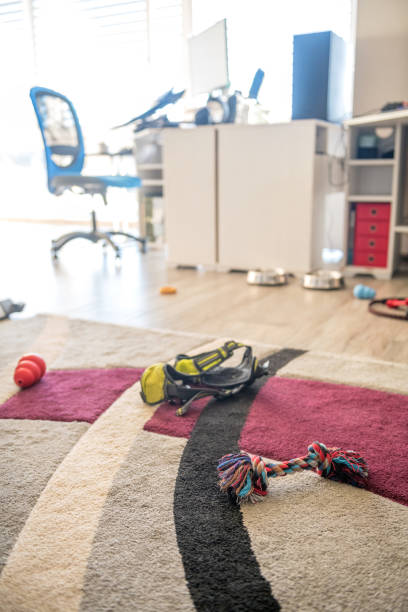 istock Dog's Corner at Home with Things a Dog Needs, No Dog Visible 1186773231