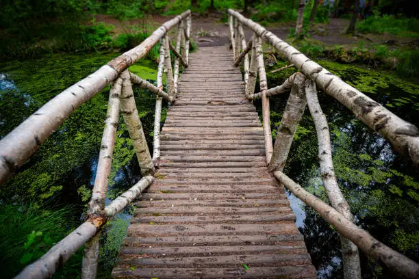 Wooden bridge in green forest in Russia over river