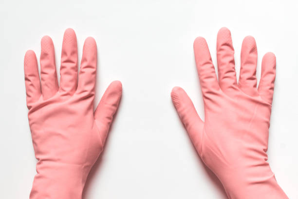 istock Two hands in pink rubber latex gloves on white background 1186775612