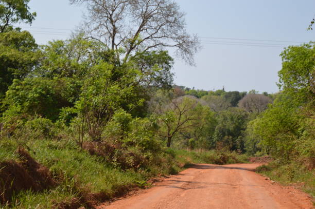 istock Driving on dirt roads 1186776086
