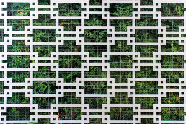 istock Gardening element fence pattern with evergreen plants 1186776832