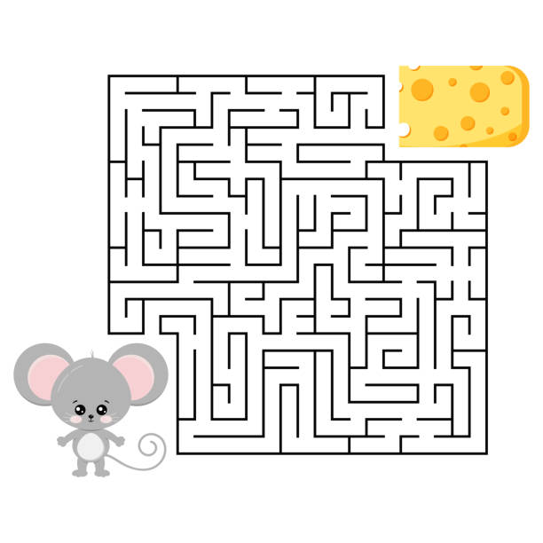 Mouse and cheese maze game for kids education isolated on white background. Mouse and cheese maze game for kids education isolated on white. Help cute grey rat to find right road to delicious piece of cheese in labyrinth. Vector illustration in cartoon style. Flat design. animal internal organ stock illustrations
