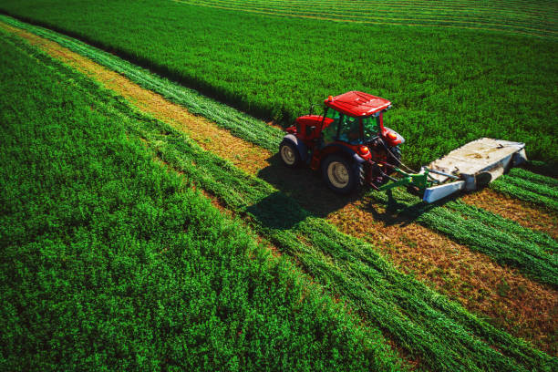 istock Tractor mowing green field, aerial drone view 1186778920
