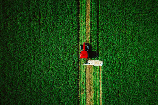 istock Tractor mowing green field, aerial drone view 1186779062
