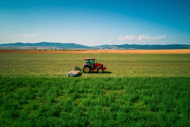 istock Tractor mowing green field, aerial drone view 1186780349