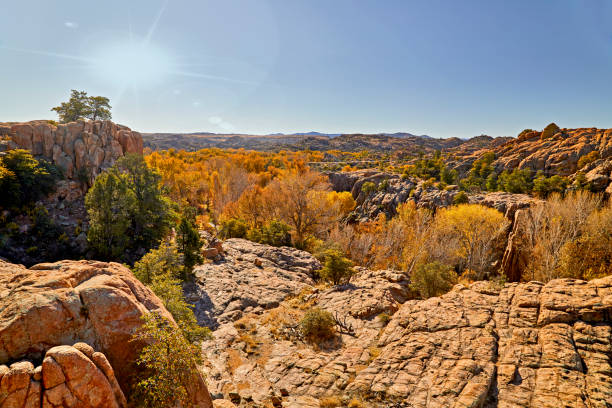 istock Fall Colored Trees in the boulders 1186782371