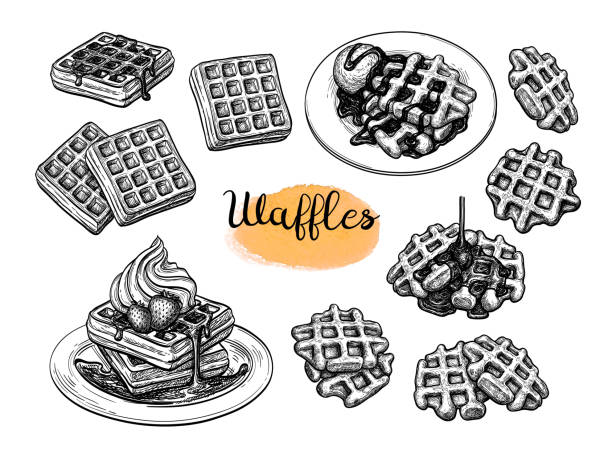 Ink sketches of waffles. Set of ink sketches. Waffles with syrup and ice cream. Hand drawn vector illustration isolated on white background. Retro style big collection. waffle vector stock illustrations