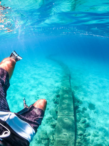 istock Snorkeling waist down 1186787203