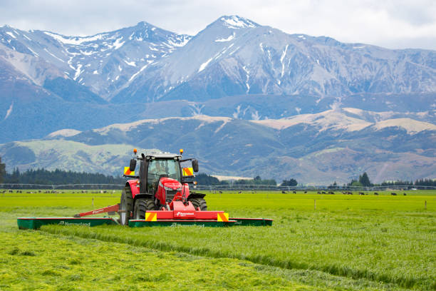 trabajos de primavera en una granja cortando hierba a fardo para ensilado de alimento invernal para el ganado - silage field hay cultivated land fotografías e imágenes de stock