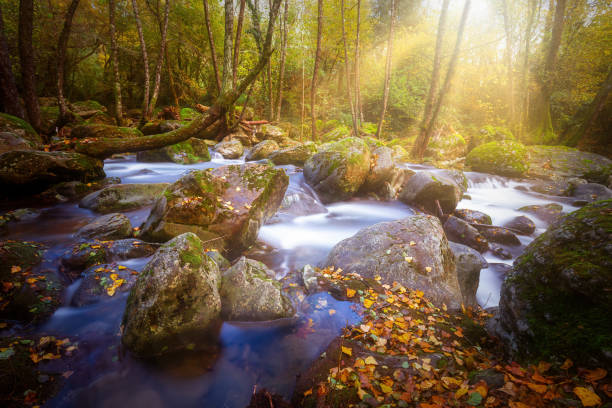 istock Beautiful mountain river from Spain, long exposure picture 1186789323
