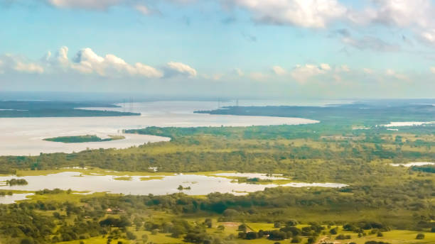 vista aérea de las aguas del río orinoco en ciudad bolívar, venezuela - river aerial view delta rainforest fotografías e imágenes de stock