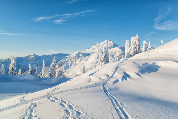 ponto snowshoeing do artista - montanha shuksan - fotografias e filmes do acervo