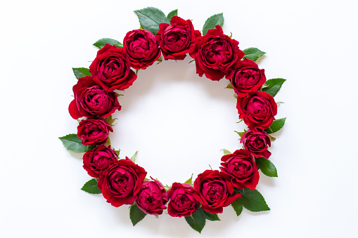 Red rose, wreath, white background