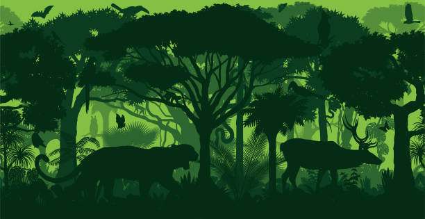 вектор горизонтальной амазонской бесшовные тропические тропические леса джунгли лесной фон - snake animal reptile anaconda stock illustrations
