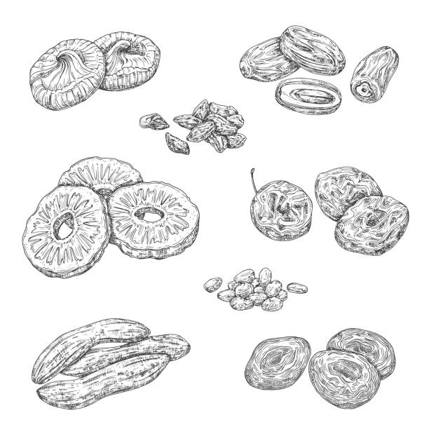 Nuts, berries and dried fruits isolated sketches Dried fruits and candied berries isolated sketches. Vector monochrome pineapple and banana, damson fruit and figs. Raisins and prunes, apricots, date, nuts and cherry snacks, natural healthy food grape pruning stock illustrations