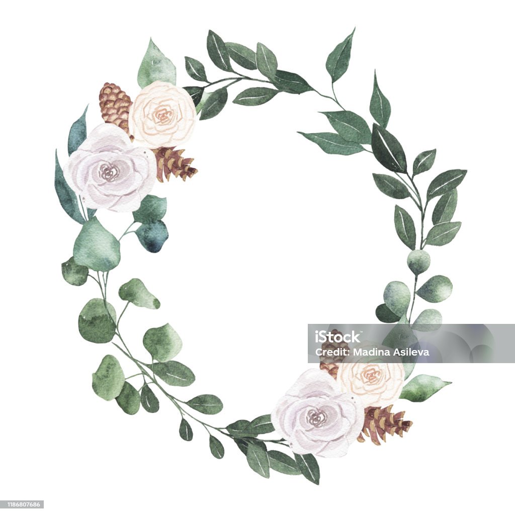 Khung Giáng Sinh Hình Bầu Dục Màu Nước Với Hoa Hồng Trắng Hình Nón ...