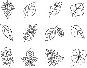 set of leaves illustration design elements