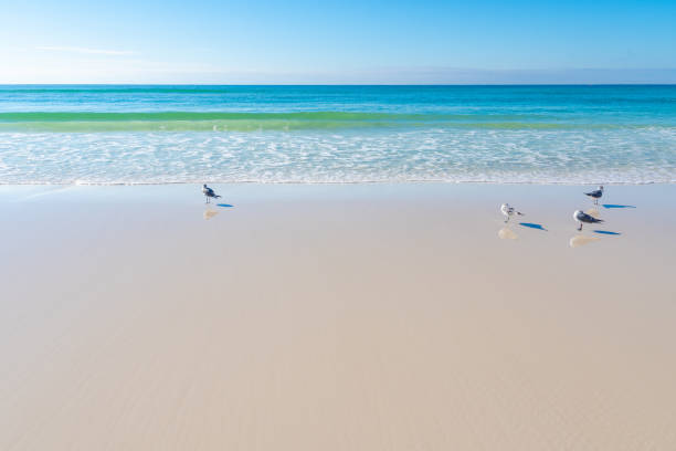 Clear emerald-colored water and surf in the Florida Panhandle.