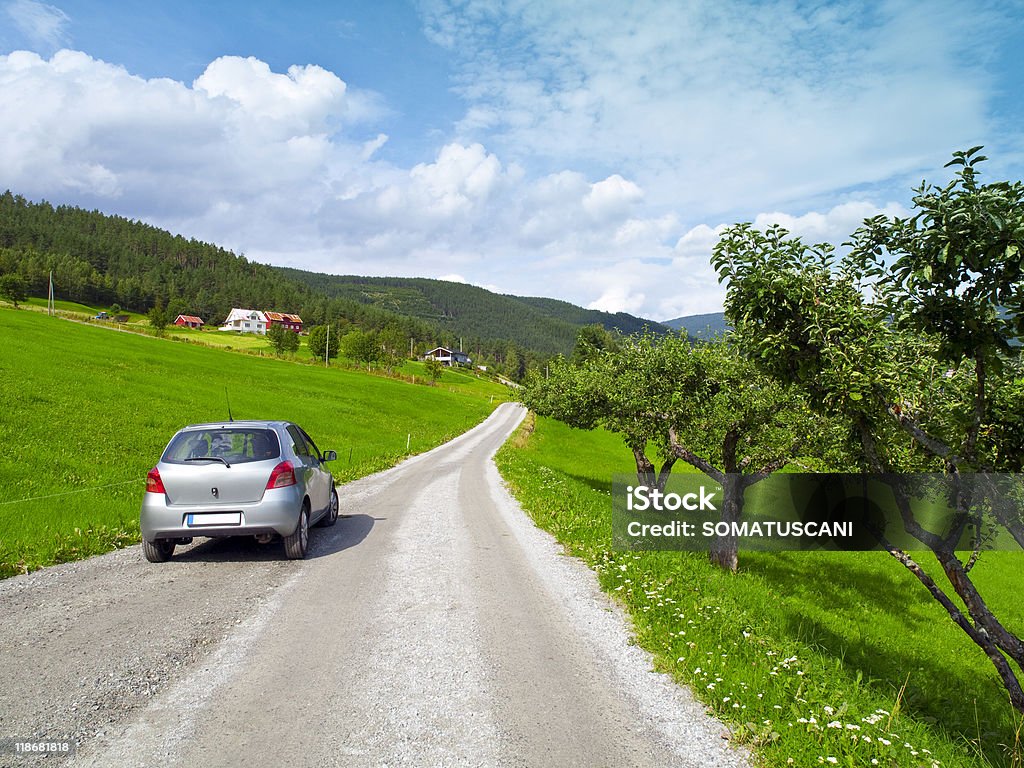 Auto parcheggiate in una campagna - Foto stock royalty-free di Automobile