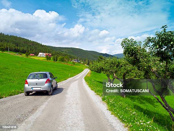 Auto Parcheggiate In Una Campagna - Fotografie stock e altre immagini di Automobile - Automobile, Albero, Ambientazione esterna