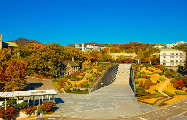 autumn in seoul city