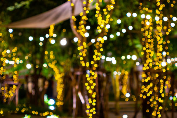 istock Blur - bokeh Decorative outdoor string lights hanging on tree in the garden at night time 1186824011