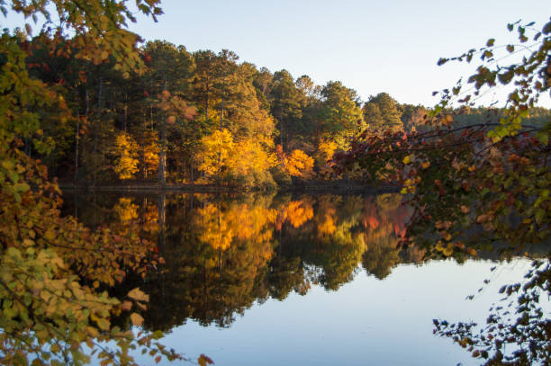 istock Little Mulberry Park, GA Autumn Lake Reflection 1186826158