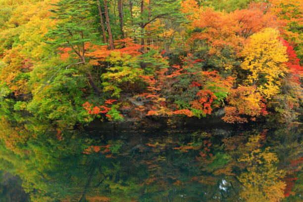 istock Iwate Prefecture Autumnal Lake 1186826528