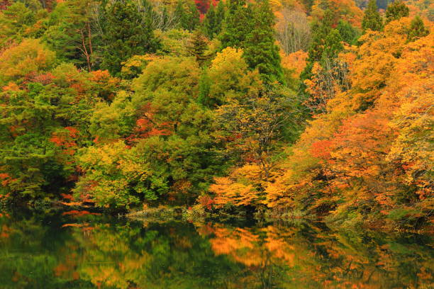 istock Iwate Prefecture Autumnal Lake 1186826531