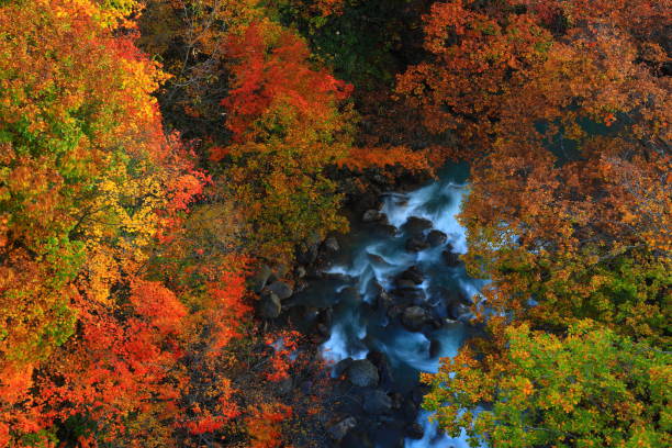 istock Hachimantai in colored leaves, Iwate Prefecture 1186827191