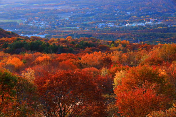 hachimantai en feuilles colorées, préfecture d'iwate - parc national de towada hachimantai photos et images de collection