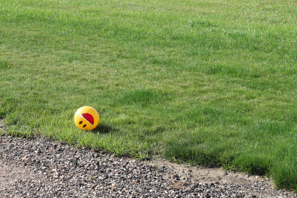 Yellow Smile Face Ball on Grass lawn yard in front of rocks that is humorous and funny