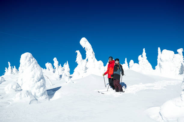 istock couple on a ski hill 1186834268