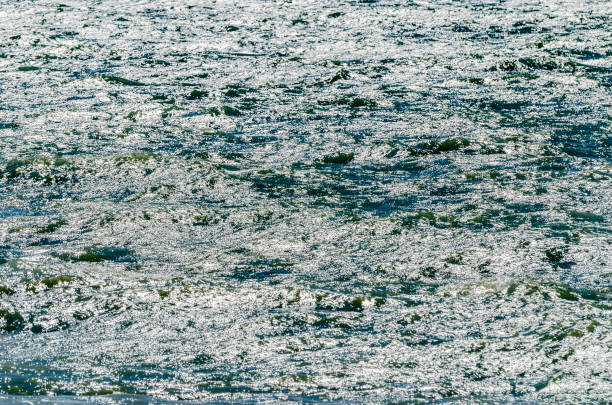 istock Lake Michigan Abstract 1186836562