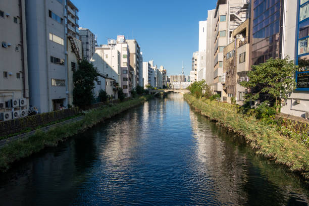 istock Kamejima River in the Tokyo, Japan 1186839959