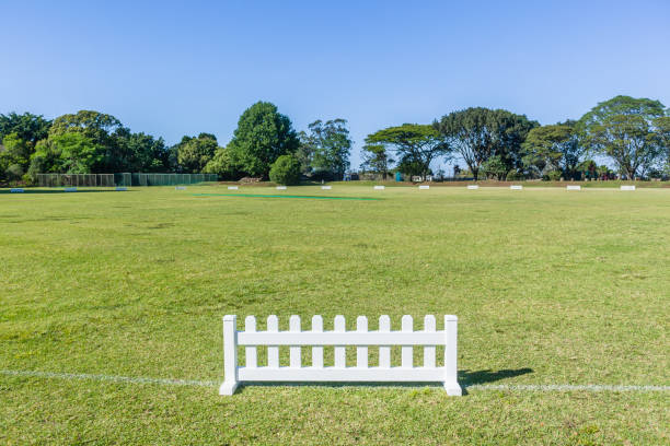 cricket field astro carpet wicket boundary landscape - astro photography foto e immagini stock
