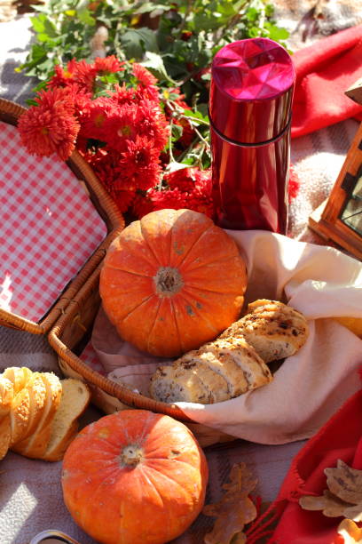 istock Picnic in autumn park with pumpkins 1186842208